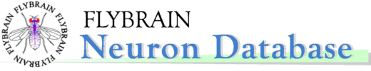 FLYBRAIN Neuron Database